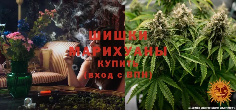 Конопля Ganja  Каменка 